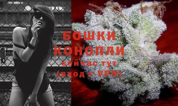 COCAINE Белокуриха