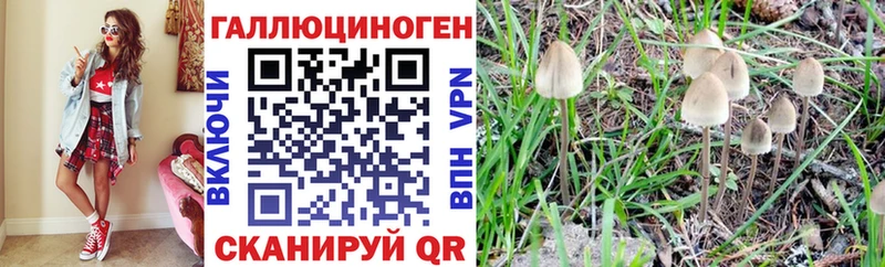Галлюциногенные грибы мицелий ОМГ ОМГ ссылки Кяхта